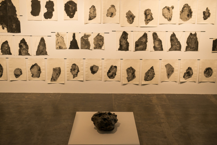 34Bienal_kitdeimprensa-14