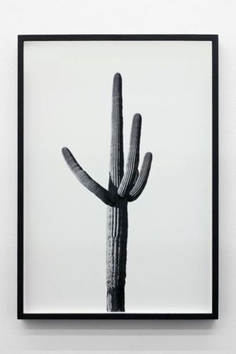 10. Adrien Missika — We Didn't Cross the Border, The Border Crossed Us, 2014 5