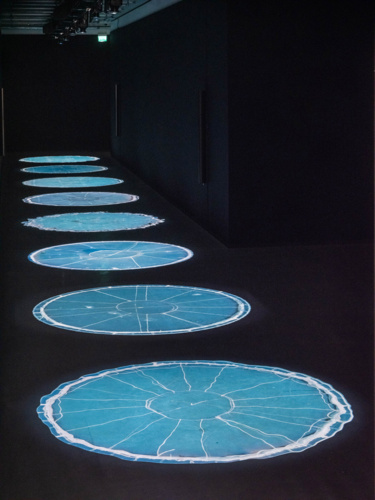 Salmon Traces of Escapees, Undamming Rivers, Cooking Sections, Bonniers Kunsthall, Stockholm, 2022.Photo Jean Baptiste Beranger(12)