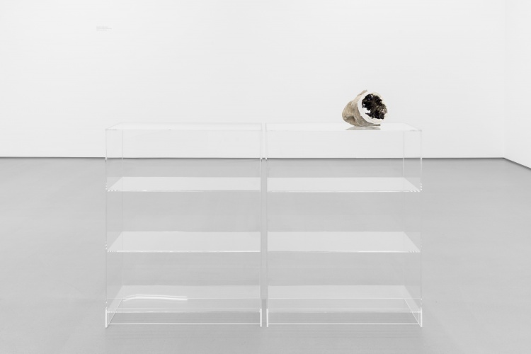 André-Romão-Galeria-Vera-Cortês-05