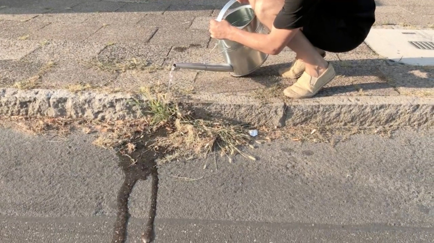 7. Adrien Missika — Unkrautpflege (Video Still), 2018