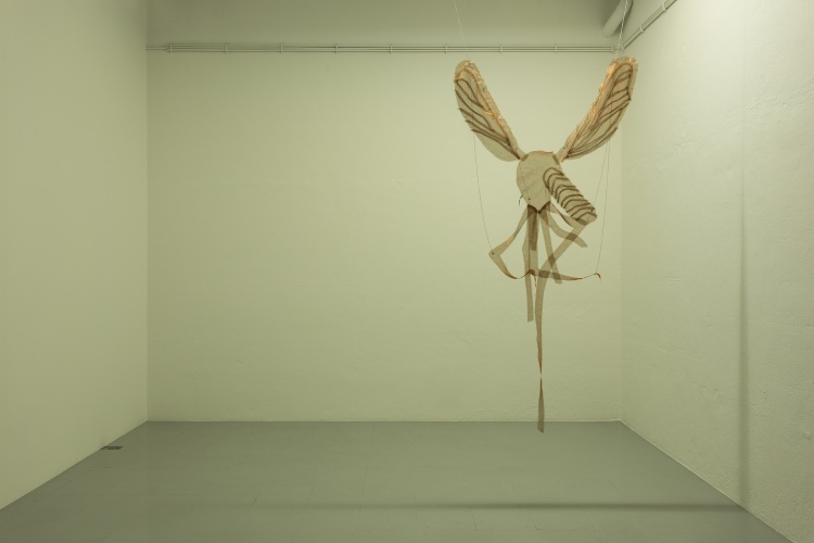 Bzz1