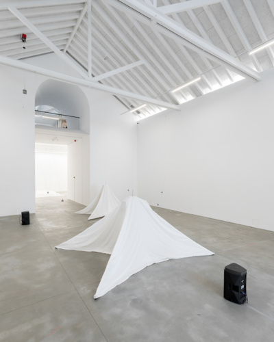 Nuno Ramos - Opening 4